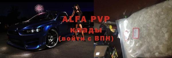 дживик Вязьма