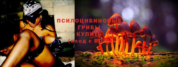 дживик Вязьма